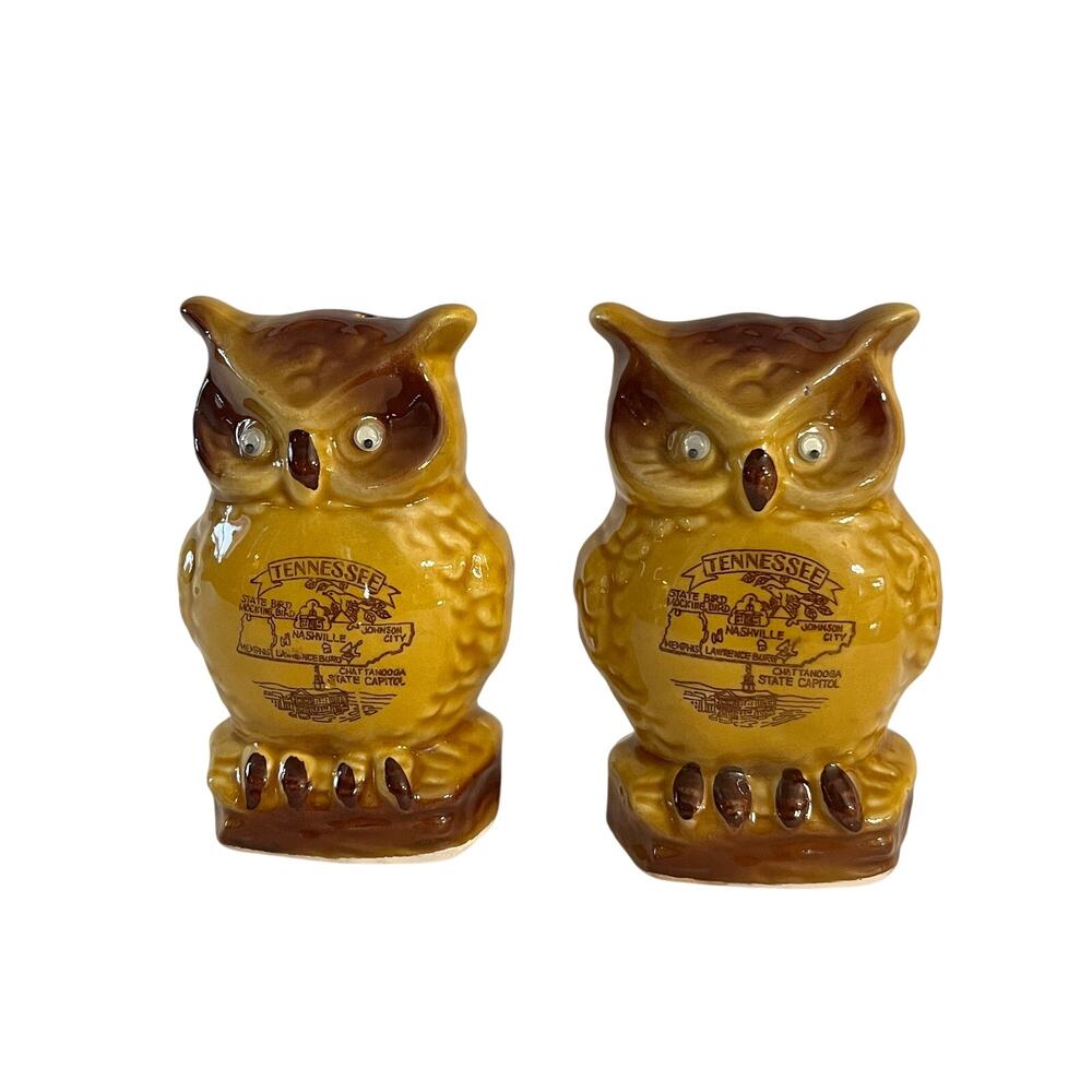 Vintage Tennessee Souvenir Googly Eye Owl Salt and Pepper Shakers